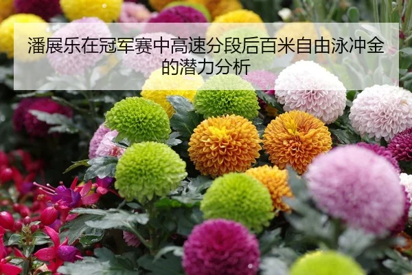 潘展乐在冠军赛中高速分段后百米自由泳冲金的潜力分析