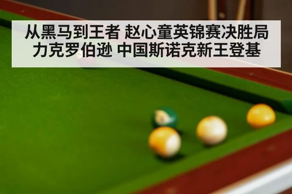 snooker final match