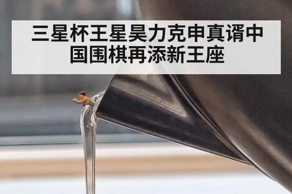 三星杯王星昊力克申真谞中国围棋再添新王座